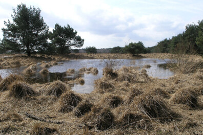 Wandeling van de maand: Kleine Beerze