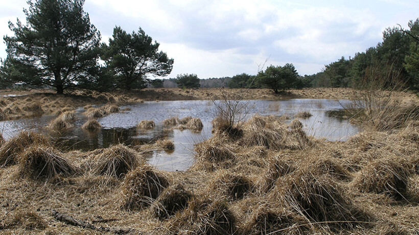 Wandeling van de maand: Kleine Beerze