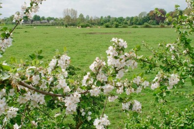 Wandeling van de maand: Geldermalsen