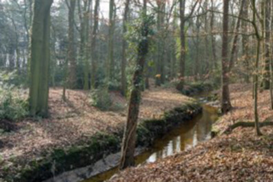 Wandeling van de maand: Glanerbrug