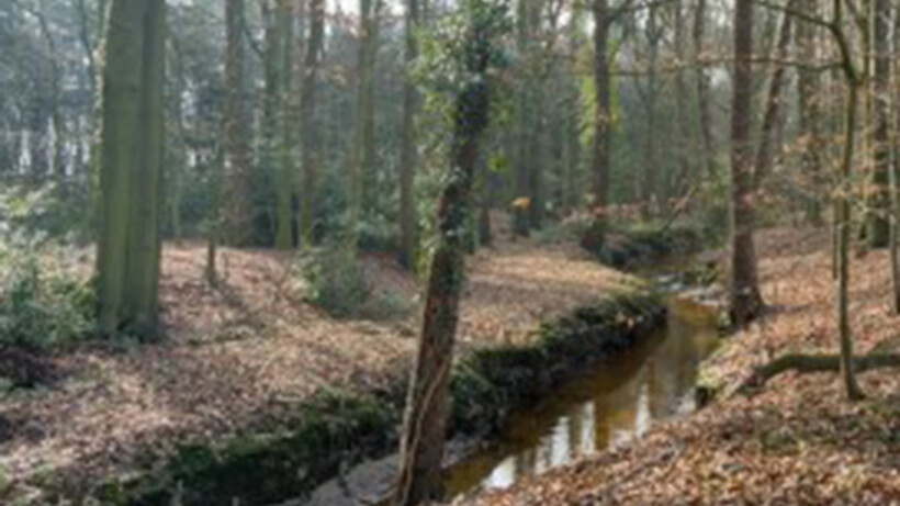 Wandeling van de maand: Glanerbrug