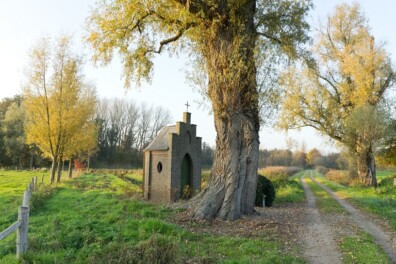 Wandeling van de maand: Horst-Sevenum