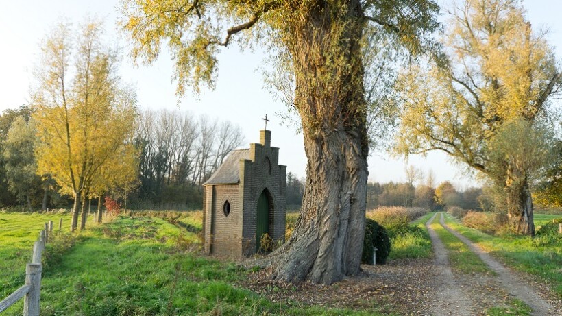 Wandeling van de maand: Horst-Sevenum