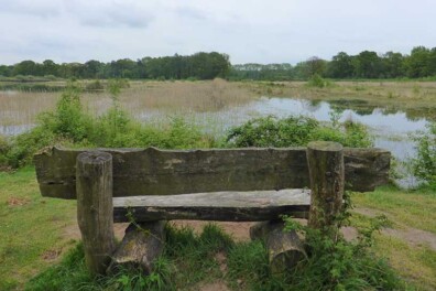 Wandeling van de maand: Kampina