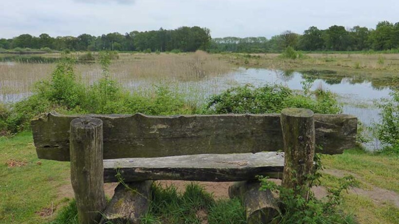 Wandeling van de maand: Kampina