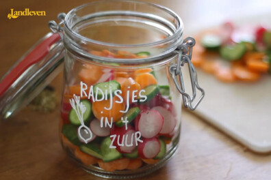 Radijsjes in ’t zuur