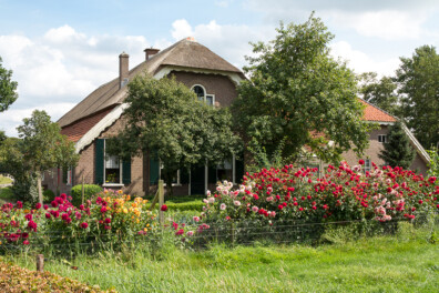 Tuintips voor september