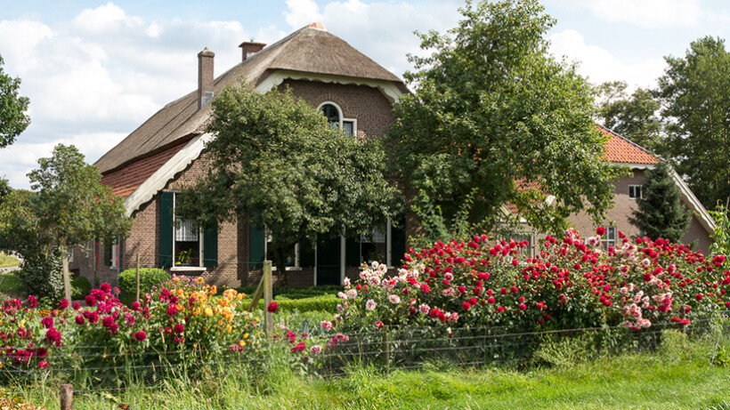 Tuintips voor september