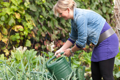 Zelf brandnetelgier maken