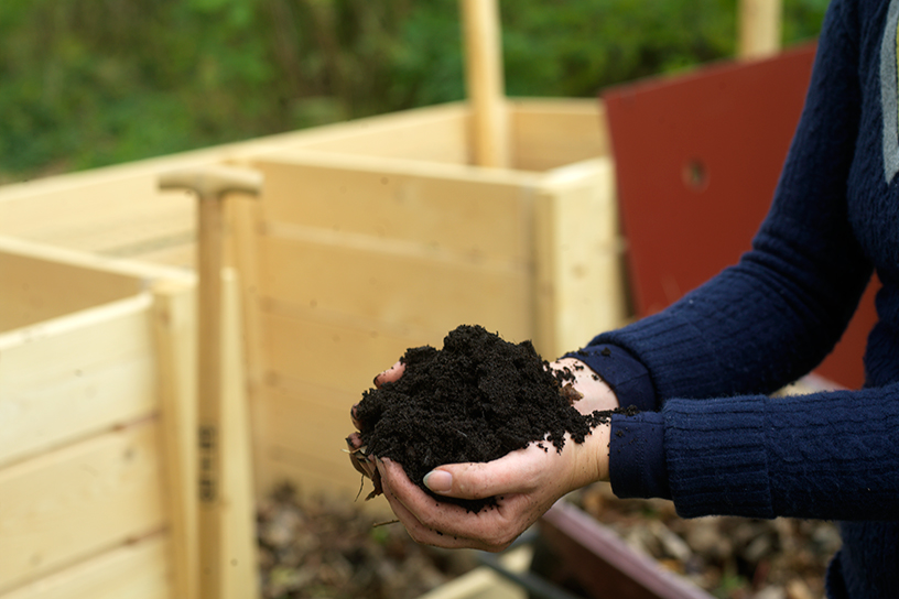 Handvol verse compost uit een zelf getimmerde compostbak.