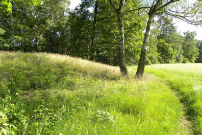 Wandeling van de maand: Kapelletjespad Ootmarsum