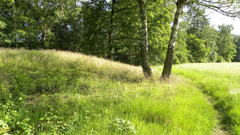 Wandeling van de maand: Kapelletjespad Ootmarsum