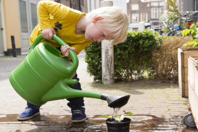 Landleven in de stad