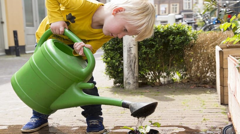 Landleven in de stad