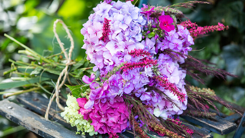 Waarom gaan mijn hortensia’s op de vaas hangen?