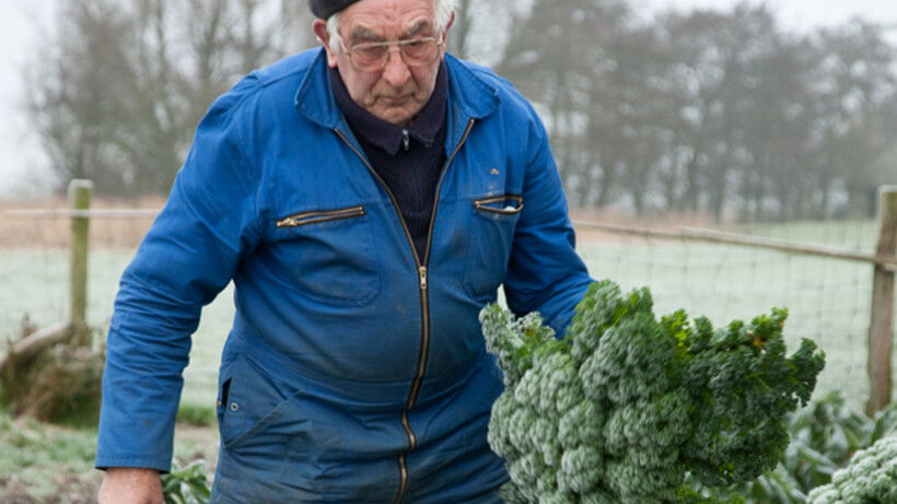 Top 4: lekkerste boerenkool