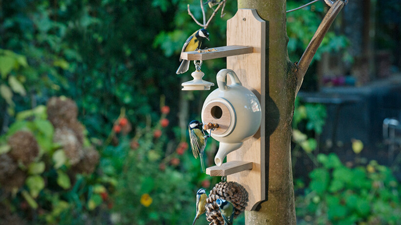 Oude theepot wordt vogelhuis