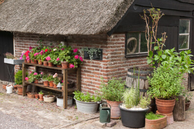 Tuintips voor juli