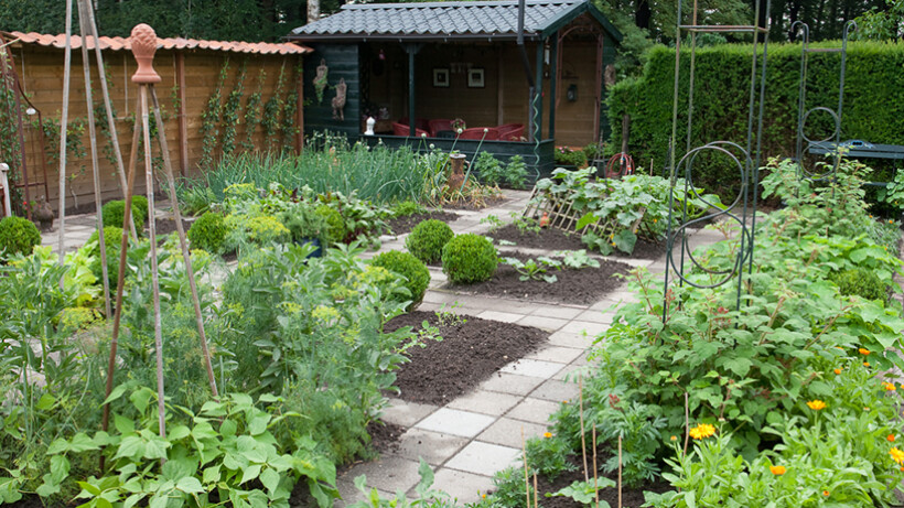 Tuintips voor juni