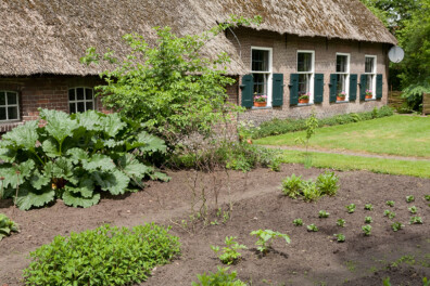 Tuintips voor mei