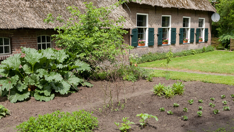 Tuintips voor mei