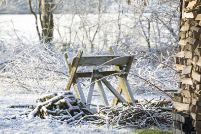 Wintergedichten over rijp