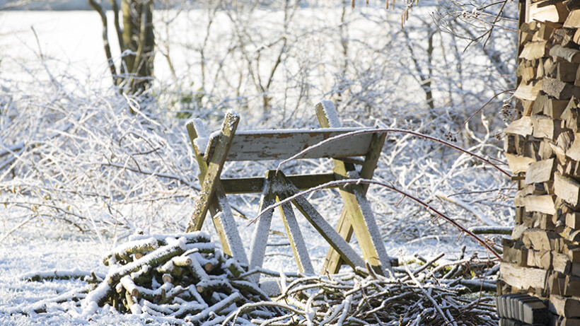 Wintergedichten over rijp