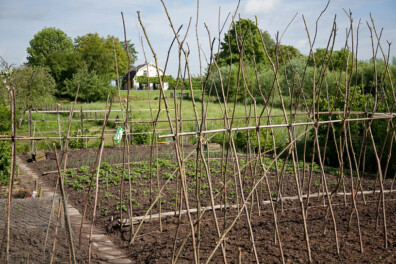 Maak een teeltplan voor de moestuin