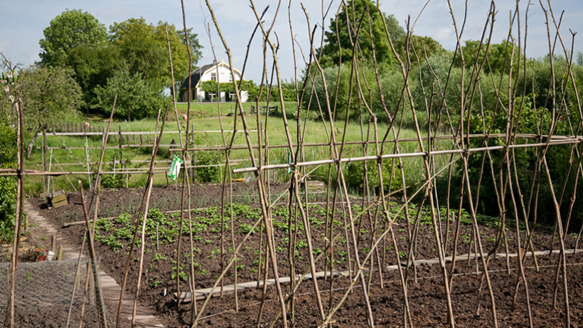 Maak een teeltplan voor de moestuin