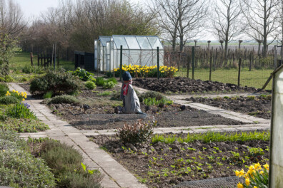 Tuintips voor april