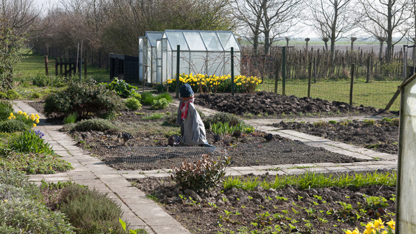 Tuintips voor april