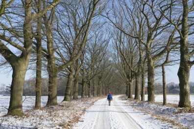 Wandeling van de maand: Wolfheze