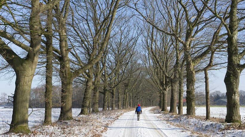 Wandeling van de maand: Wolfheze