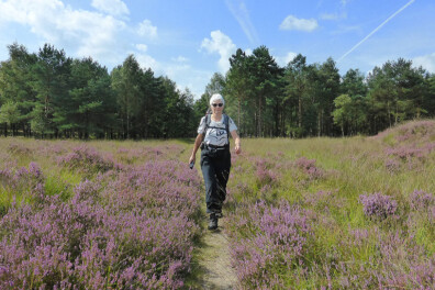 Wandeling van de maand: Trage Tocht Doldersum