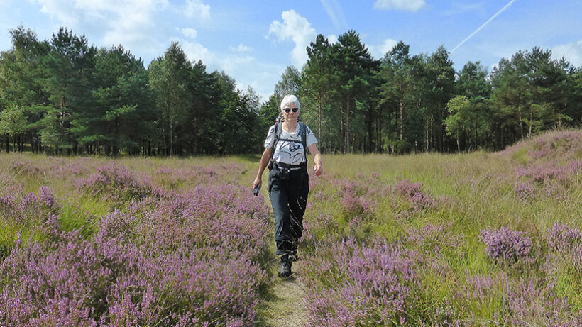 Wandeling van de maand: Trage Tocht Doldersum