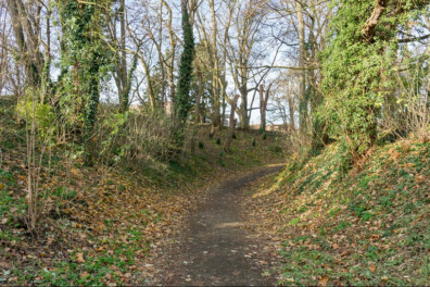 Wandeling van de maand: Groene Wissel Maastricht