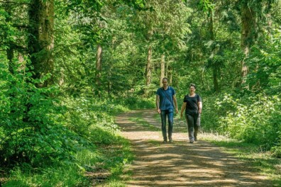 Wandeling van de maand: Groene Wissel Haulerwijk