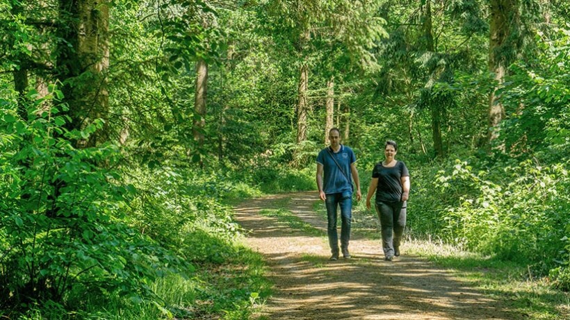 Wandeling van de maand: Groene Wissel Haulerwijk