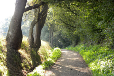 Wandeling van de maand: Twentse Kruistocht Oldenzaal