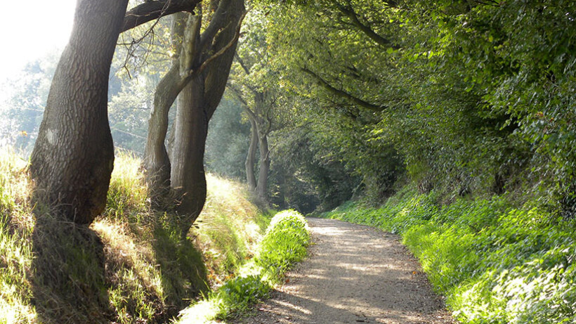 Wandeling van de maand: Twentse Kruistocht Oldenzaal