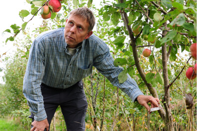 Oude fruitrassen van Noord-Nederland op De Baggelhof