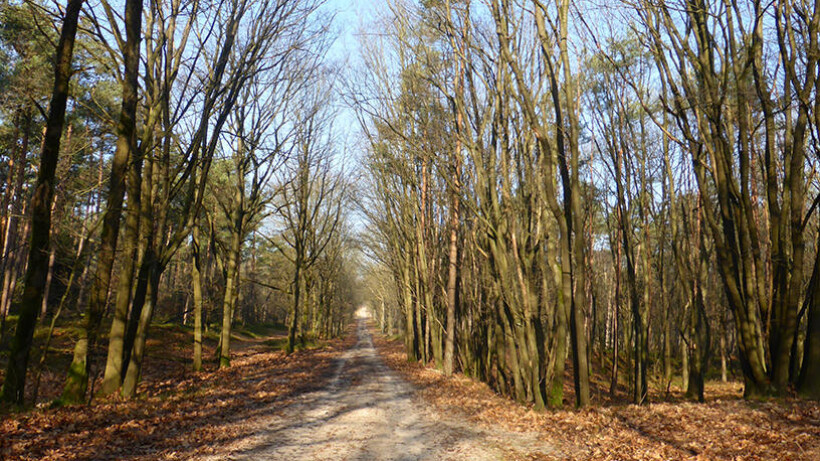 Wandeling van de maand: Trage Tocht Beekbergen