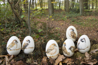 Schilderijtjes op ganzeneieren