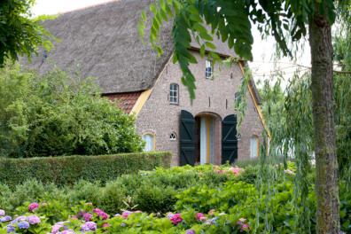 Hortensiakwekerij Bertha’s Hof