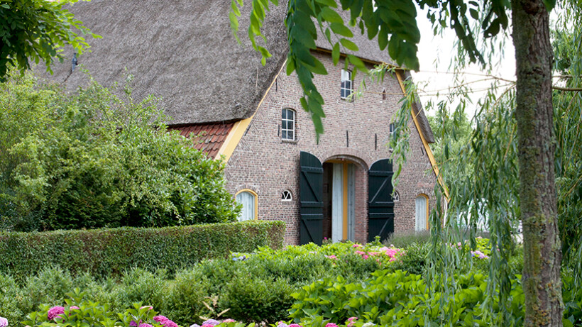 Hortensiakwekerij Bertha’s Hof