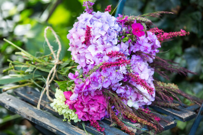 Hortensia’s: zelf geplukt en geschikt