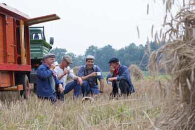 Hard werken tijdens de roggeoogst