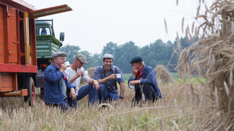 Hard werken tijdens de roggeoogst