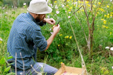 Stefan Cools: botanist, bioloog en kunstenaar tegelijk