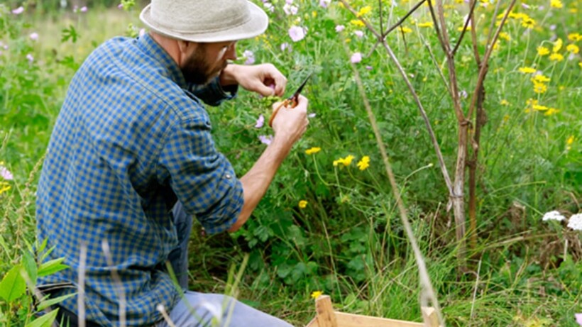 Stefan Cools: botanist, bioloog en kunstenaar tegelijk